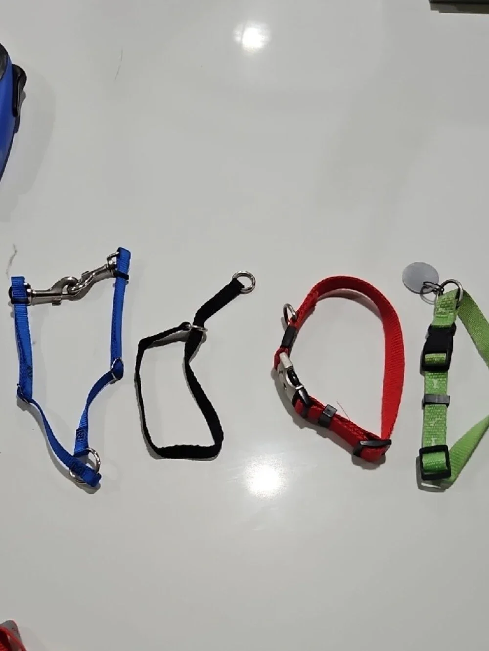 Blue Retractable Dog Leashes with Multi-Color Harnesses NOS